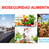 442 ü  Bioseguridad alimentaría..pdf