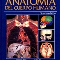 622 Rohen  yokochi  lütjen-drecoll. atlas de anatomía humana.pdf