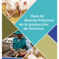 Guía para la implementación de buenas prácticas pecuarias (BPP) Producción de porcinos