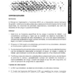 410  Documentación de gestión manual de organización y funciones..pdf