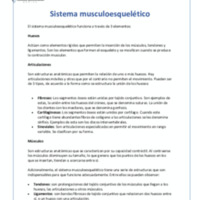 351  Sistema músculo esquelético..pdf